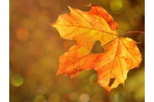 桂林登山旅游景点介绍，桂林一日游