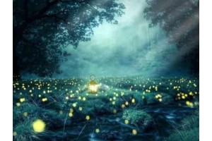 绍兴旅游景点攻略2日游价格表大全，绍兴最值得去的景点