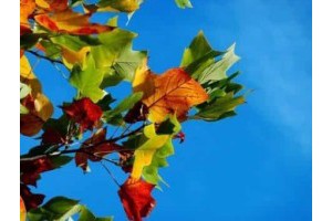 推荐一个旅游景点，全国旅游攻略必去景点推荐