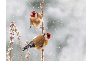 郑州最近旅游景点推荐大全图片欣赏，郑州好玩又免费的景点