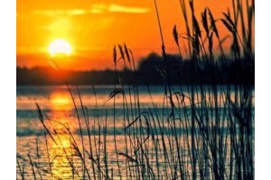 郑州向南旅游景点推荐一下，郑州二日游必去的地方