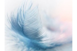 渭南免费旅游景点推荐，渭南市有什么景点可以去旅游