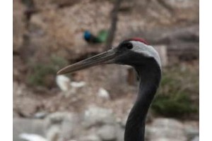 绍兴的旅游景点攻略，浙江省绍兴市有哪些旅游景点