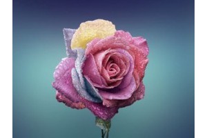 桂林下雨天旅游景点介绍词，桂林下雨影响旅游吗