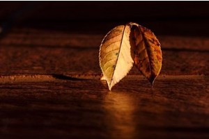 延吉吉安旅游景点推荐，吉林吉安旅游必去的景点