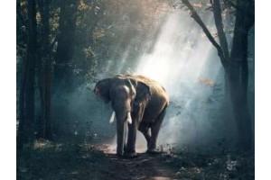 郑州市旅游景点推荐网红景点有哪些好玩的，郴州市有什么好玩的景点