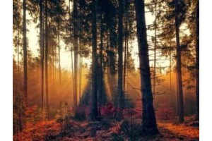 绍兴廊桥旅游景点大全攻略，绍兴廊桥图片