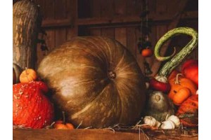 扬州旅游景点攻略在哪里买票便宜呢，扬州旅游攻略一日游