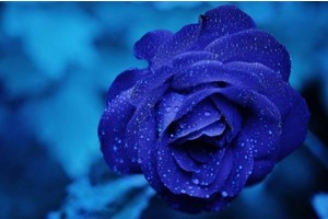 桂林市红色旅游景点大全介绍，桂林的旅游景点有哪些地方