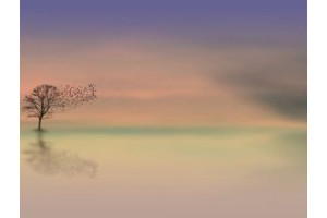 南京周边好玩的旅游景点推荐一日游，南京半日游最佳景点