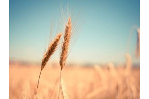 绍兴春节旅游景点攻略，绍兴旅游必去十大景点推荐