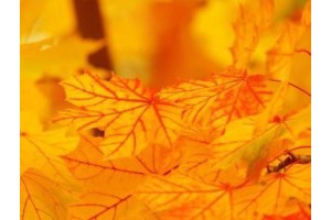 郑州飞机场附近旅游景点推荐，旅游景点推荐