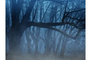 扬州旅游景点介绍及攻略大全，扬州一日游攻略自助游