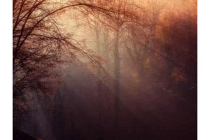 扬州夏天旅游景点攻略大全图片，扬州哪里好玩景点排名