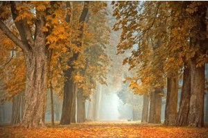 桂林兴坪旅游景点介绍词，兴坪古镇有什么景点