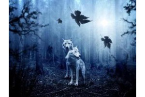 绍兴附近旅游景点攻略大全图片，绍兴附近的旅游景点有哪些地方