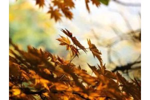 广东省外旅游景点推荐，广东周边省外自驾游