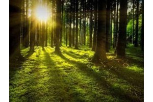 绍兴附近旅游景点一日游免费攻略，绍兴周边旅游景点