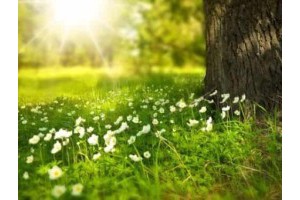 扬州到苏州同里古镇旅游景点攻略，周庄古镇旅游攻略