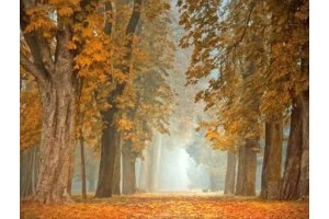 平顶山附近旅游景点推荐，平顶山最值得去的景点