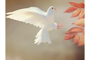 郑州爬山旅游景点大全推荐图片，郑州爬山免费景点大全