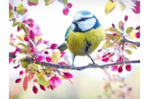 暑假旅游景点推荐国内，贵州景点推荐旅游景点排行