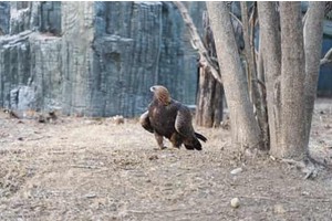 桂林杉湖景区旅游景点介绍，桂林市区内景点排名