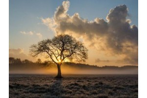 绍兴旅游景点攻略最新一日游价格，绍兴旅游住宿攻略