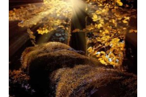 扬州及附近旅游景点攻略一日游路线，扬州一日游最佳路线图