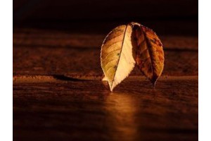 浙江绍兴旅游景点攻略图片，浙江绍兴旅游景点大全