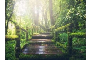 儿童旅游景点推荐，适合孩子去玩的旅游景点