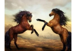 春运郑州周边旅游景点推荐，适合郑州出发的二日游