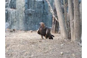 扬州旅游景点自驾两日游攻略图片大全集，扬州两日游最佳路线推荐