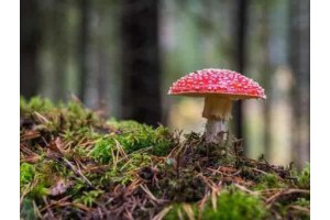 绍兴晚上旅游景点攻略推荐，绍兴周边游推荐去哪里