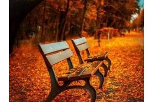 郑州周边自驾旅游景点推荐，郑州一日游必去的地方