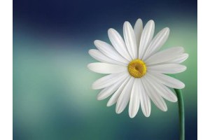 绍兴旅游景点攻略柯桥风景区，柯桥旅游景点大全排名