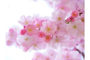 扬州及附近旅游景点攻略大全，扬州周边游玩景点推荐