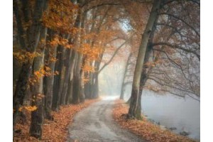 郑州一日游旅游景点推荐，郑州市旅游攻略一日游