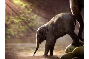 郑州附近亲子夏天旅游景点推荐一下地方，郑州的旅游景区有哪些