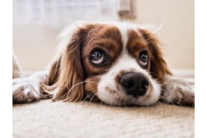 郑州红色基地旅游景点推荐表，郑州5个红色旅游景点