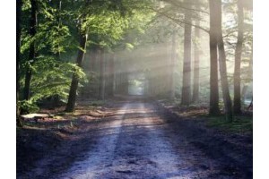 桂林阳朔旅游景点介绍7，桂林阳朔三日游多少钱