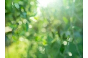 1镇江区旅游景点推荐，镇江旅游景点大全排名