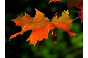 外省旅游景点推荐，湖南旅游攻略