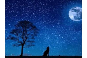 郑州附近亲子旅游景点推荐自驾游，郑州周边亲子游