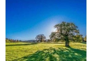 扬州一日旅游景点攻略，扬州二日游最佳安排