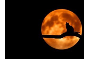 漳浦旅游景点推荐，漳浦一日游最佳景点