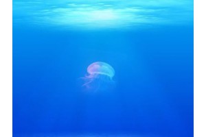 桂林旅游景点介绍及门票免费攻略图片，桂林风景区值得游玩的景点