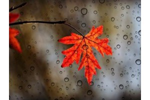 2021郑州国庆免费旅游景点推荐，郑州的旅游景区有哪些