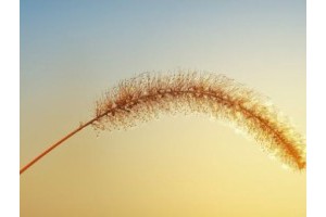 扬州预约旅游景点攻略大全图片，扬州一日游攻略自助游