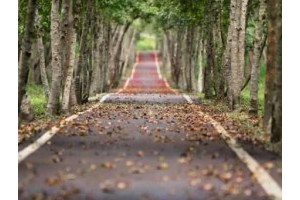 7月份旅游景点推荐，7月8月适合去哪里旅游